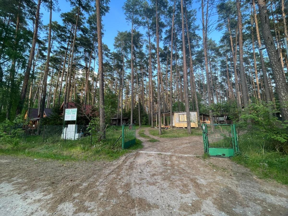 Domek Letniskowy Nad Jeziorem, Las, Mazury Wiartel Maly Kültér fotó